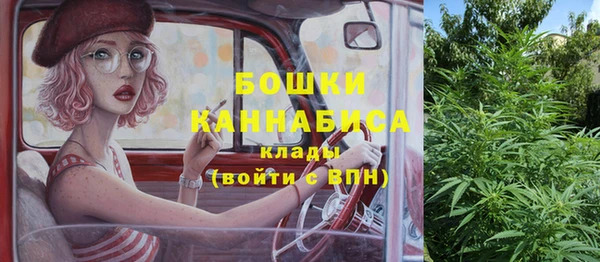 дживик Арсеньев
